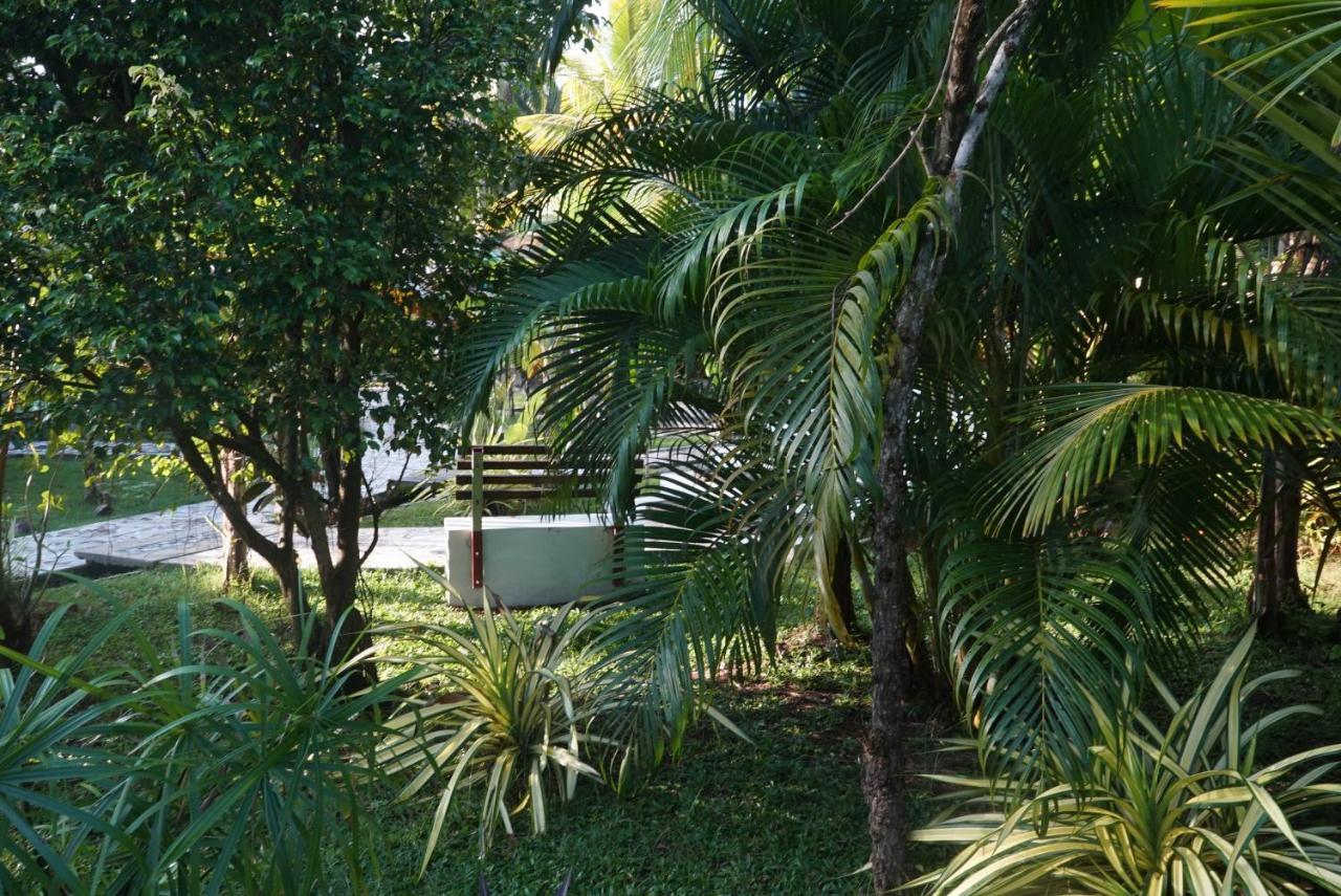 Red Coconut Villa Bentota Eksteriør bilde
