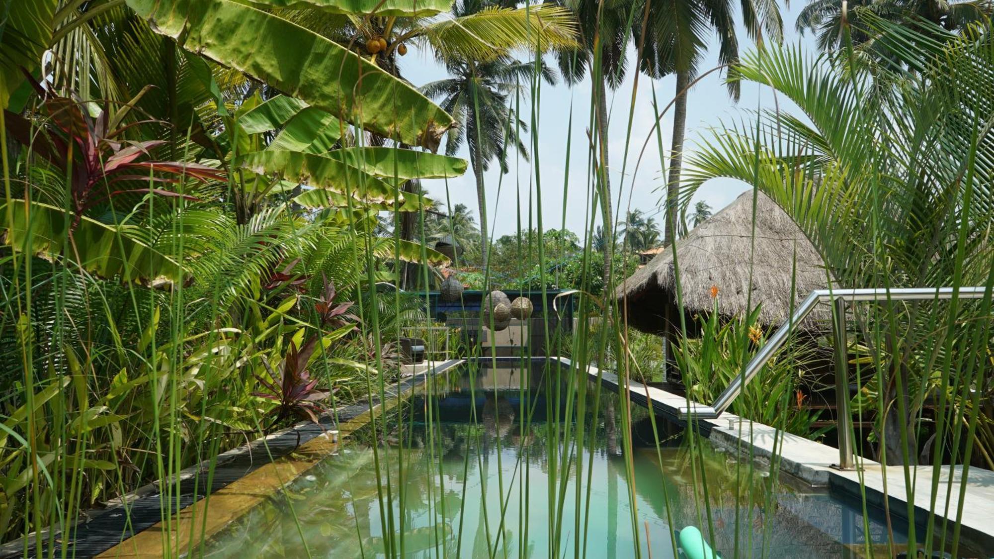 Red Coconut Villa Bentota Eksteriør bilde