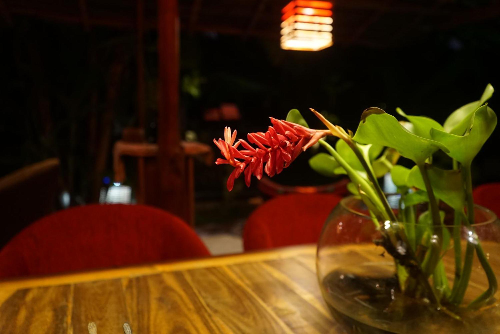 Red Coconut Villa Bentota Eksteriør bilde
